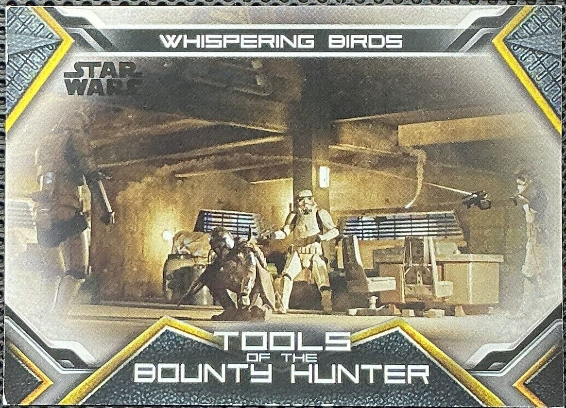 Topps Star Wars The Mandalorian - TB 6 Whispering Birds