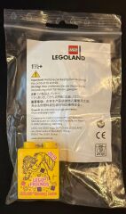 Legoland Discovery Centre 2019 Friends Pattern Duplo Brick 1x2x2