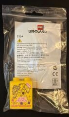 Legoland Discovery Centre 2019 Friends Pattern Duplo Brick 1x2x2