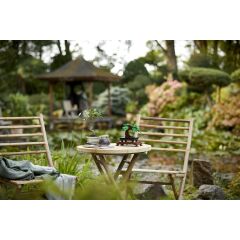 Lego Bonsai Ağacı 10281