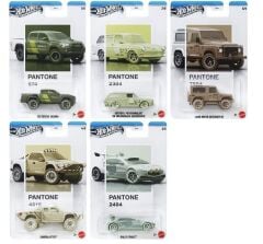 Hot Wheels Silver Series Pantone 5'li Mix 2 JKY47