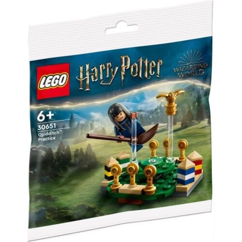 LEGO Harry Potter 30651 Quidditch™ Antrenmanı Polybag (55 Parça)