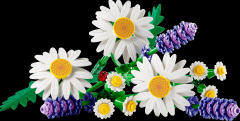 Lego Botanical Collection Daisies 11508