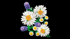 Lego Botanical Collection Daisies 11508