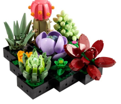 Lego Creator Expert Botanic Collection 10309 Sukulentler