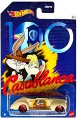 Hot Wheels WB 100.Yıl 5'li Tüm Set - HMV73